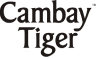 Branding solutions provided to the client Cambay Tiger
