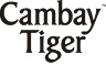 Branding solutions provided to the client Cambay Tiger